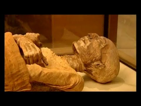 Dr.Maurice and the Pharaoh - Qur'an & Science