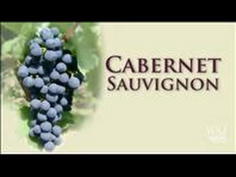 Cabernet Sauvignon: A Prestigious Grape to Grow