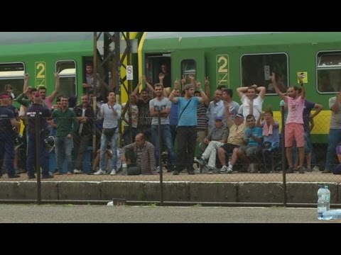 Migrant crisis: Chaos as trains are stopped in Hungary