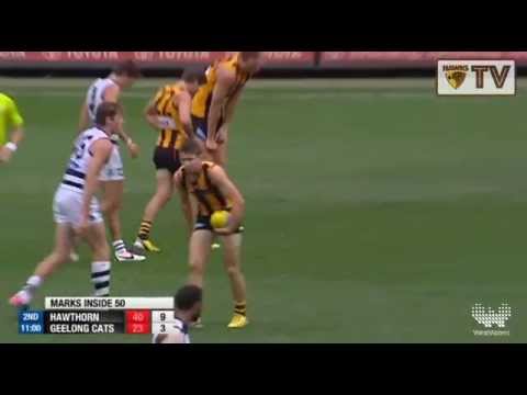 All Australian: Sam Mitchell