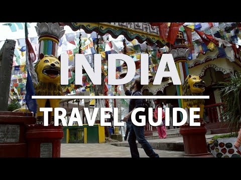 Travel Guide to India l The Expeditioner