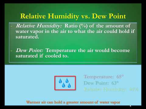 Humidity vs Dew Points:  What's the Difference?