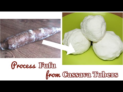 Process Cassava Fufu from Cassava Tubers (Yuca)