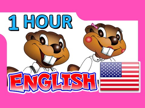 "English Level 2 DVD" - 1 Hour, Learn to Speak English, Teach ESL, EFL, Kids Language School