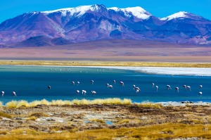 Atacama Desert: The Atacama is the ultimate expression of the phrase "high and dry" - a desert 4000 metres above sea level, where only a couple of millimetres of rain falls every year. It's also almost completely uninhabited, a place in northern Chile where you can see for mile after mile in the thin, dry air - but you still can't see anything of note. There's a beautiful stillness to the Atacama that will never be shattered.