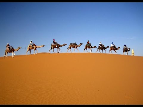 Sahara Desert (ecoregion)