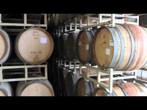 PLINY: Documentary