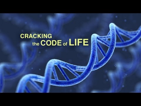 Cracking the Code Of Life | PBS Nova | 2001