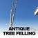 Antique Tree Felling