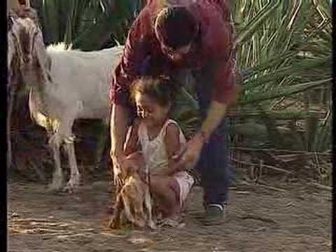 Hazardous Child Labour in Agriculture