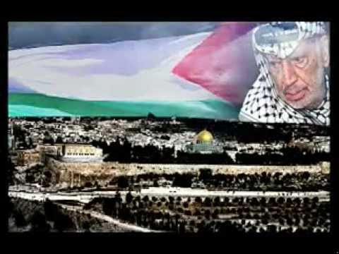 فيديو خطير للرمز الشهيد ياسر عرفات  Martyr Yasser Arafat