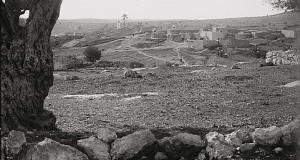 Village Zakariyya, evacuated violently during the Nakba, circa 1926.