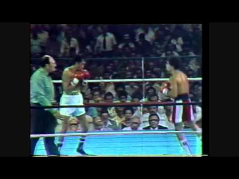 Wilfredo Gomez Vs  Carlos Zarate Rds 1 2 3 4 5