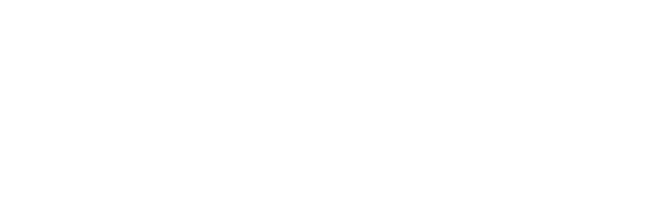 Black Seed - Hand Rolled, Wood Fired Bagels