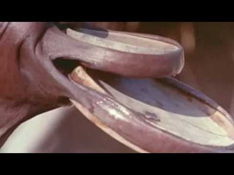 lip plate woman drinking