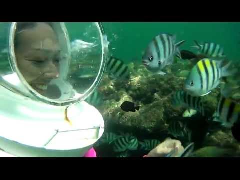 Bali Travel - Sea Walker