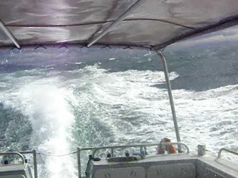 Boat-Trip to D'urville Island - rough sea