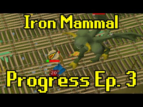 Oldschool Runescape - 2007 Iron Man Progress Ep. 3 | Iron Mammal