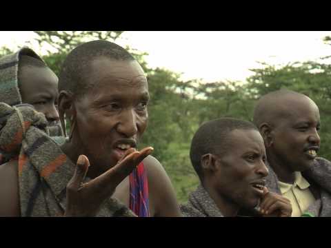 The life of an Il Torobo hunter-gatherer