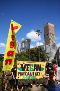 Vegan banners