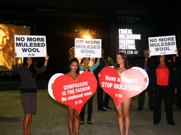 The protest in front of the entrance