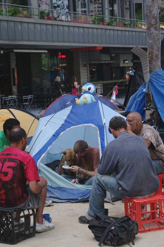 Dog in tent eating from plate