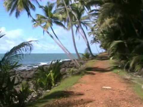 Two Months in French Guiana (a short movie by Mel)