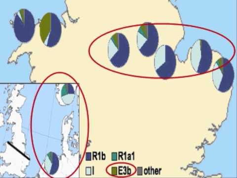 English-Germanic DNA explanation