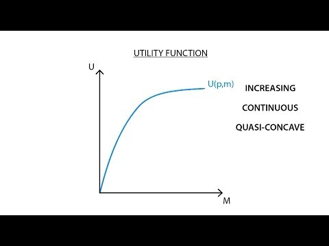 A.1 Utility function | Consumption - Microeconomics