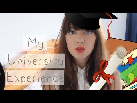 My University Experience