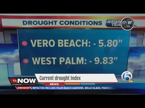 Drought Conditions in South Florida