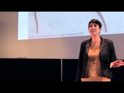 Why We Need to Think Differently About Sustainability: Leyla Acaroglu at TEDxMelbourne