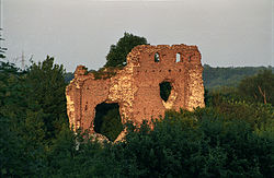 Bochotnica (js).jpg