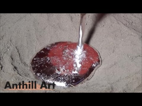 Casting a Carpenter Ant Colony with Molten Aluminum (Cast #042)