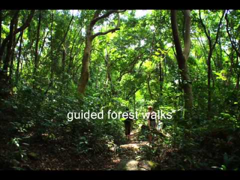 Tourist attraction in Sierra Leone