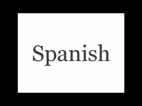 Spanish Fundamentals: Cognates