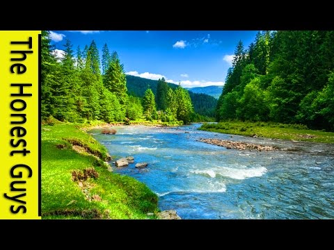 9 HOURS Nature Sounds. River in the Shire. Relax, No Music, Sleep, Study, Water Sounds, Meditation