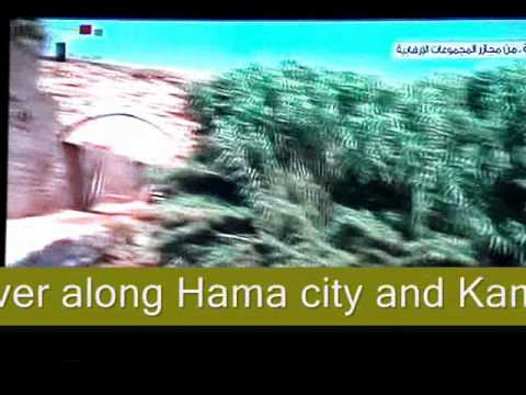 Graphic Images: 13 bodies in Orontes River in Hama.wmv