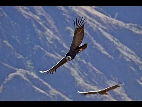 EL CONDOR PASA [PAN PIPES]