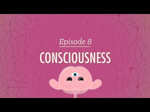 Consciousness - Crash Course Psychology #8