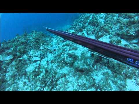 Spearfishing in Ionian Sea