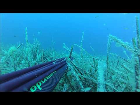 Spearfishing in Ionian Sea - part 3 (Ψάρεμα στο Ιόνιο)