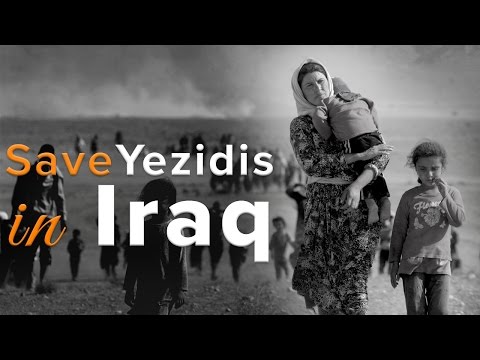 Save Yezidis in Iraq - IAHV relief work