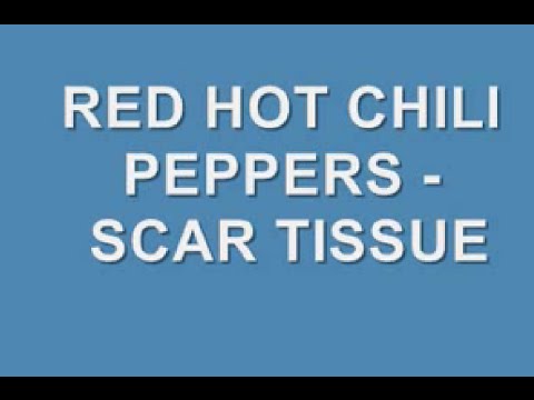 Red Hot Chili Peppers - Scar Tissue (Lyrics)