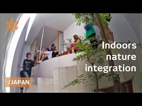 Yokohama narrow tiny house "breathes" & attracts local nature