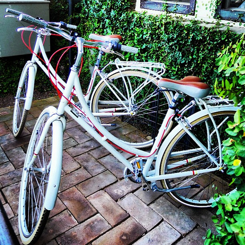 White bicycles