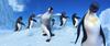 Happy Feet (2006) photo