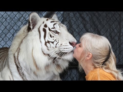 Florida Woman Keeps Bengal Tigers In Her Garden