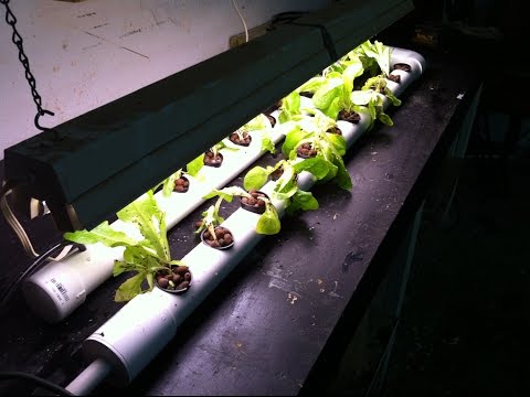 home made DIY DFT / NFT PVC Hydroponic System