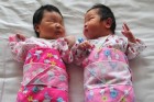 Chinese babies (AFP: Frederic Brown)